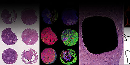 specialized techniques histology
