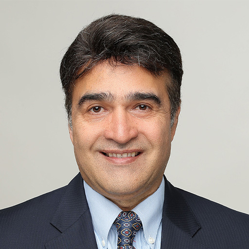 Hamid Baniasadi, Ph.D.