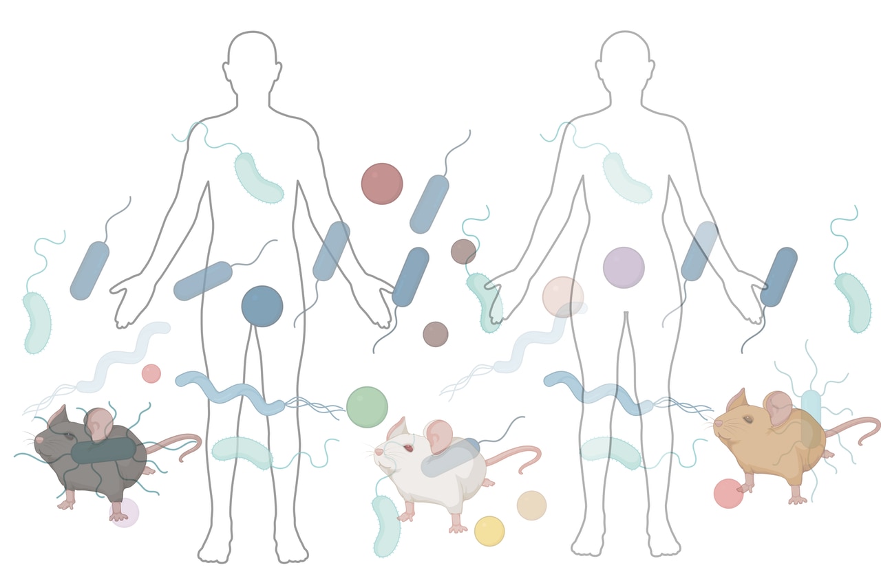 An abstract illustration of an Impaired Gut Membrane with Bacteria