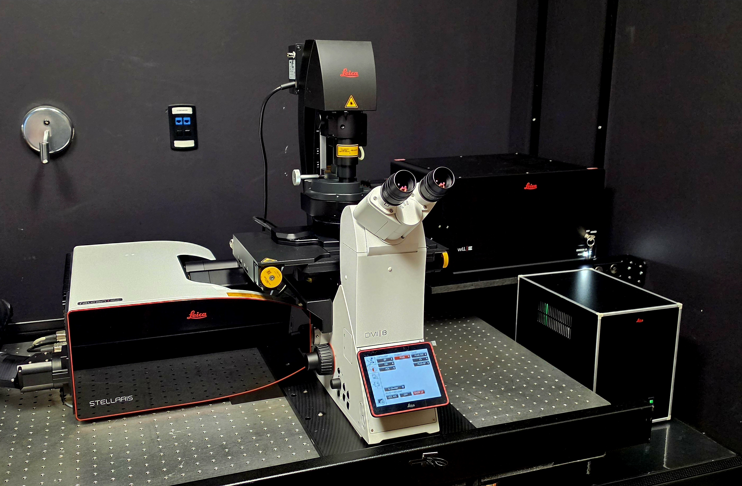Leica Stellaris FALCON 8 confocal microscope