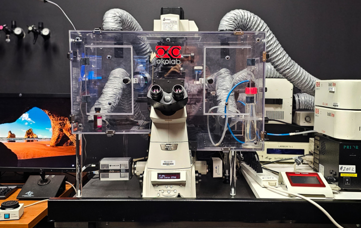 Nikon Ti widefield microscope