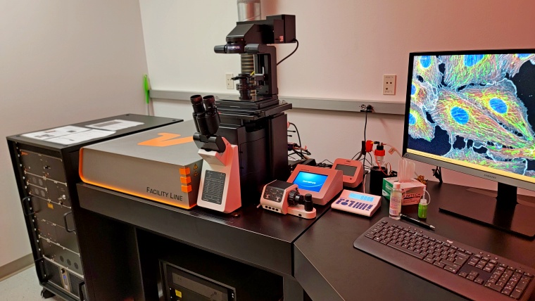 Abberior Facility Line STED microscope