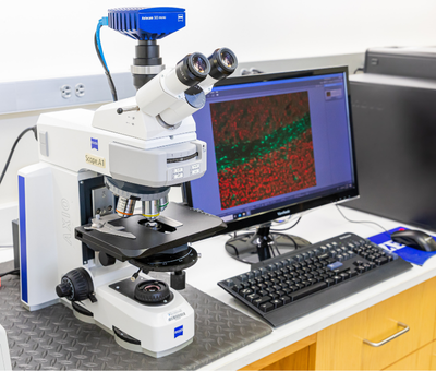 Axioscope A1