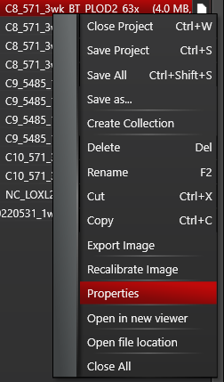 properties option highlighted in a menu
