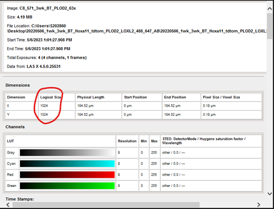 screenshot with logical size area circled