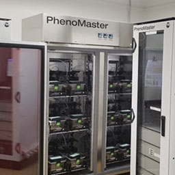 Animal Phenotyping/Metabolism Core