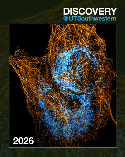 Scientific Report cover